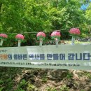 강학2리 네이버블로그