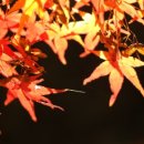 인물화드로잉 이미지