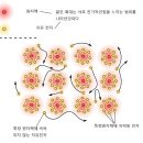 자유전자 이미지