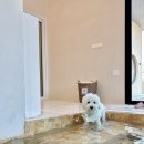 보느몽뜨 이미지