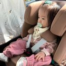 H.B.(꿀벌)동물병원 | ByAVO 바이아보 핸드메이드 아기 목손수건 내돈내산 구매 후기