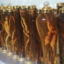 이연옥농장 이미지