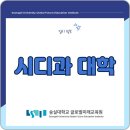 시디과 대학 비실기 전형 진학 전략