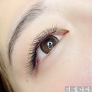 더,빛나다 - 용인시 처인구 | 더,빛나다