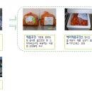 맛짱김치 이미지