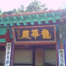 황의상사 | 山火賁(산화비) - 2005년 6월 6일 辛酉日