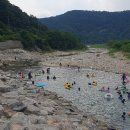 동막리공중화장실 | 서울근교 경기도 연천 동막계곡 반려견동반 방문후기 진돗개 가능