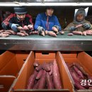 경인농장 경인일보
