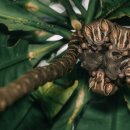 EFC PC ZONE 이미지