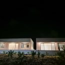 자파리203 이미지