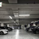 가보프라자 | [고양 삼송] 삼송역 닭발 찐 맛집 광닭발 방문 후기 🙋🏻‍♀️