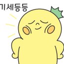 리코베리 이미지