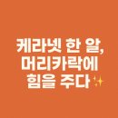 메딕스약국 | 💊 2025 케라넷, 머리부터 손톱까지 건강하게 채워주는 작지만 강한 힘 🌿