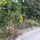 사람사는 이야기 이미지