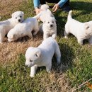 삼남매농장 이미지