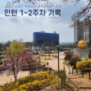고양상공회의소 미래내일 일경험 문화재단 인턴 1~2주차 정리 (약간의 일상을 곁들인...☆)