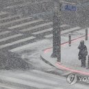 대설 이미지