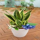 한혜경산부인과의원 이미지