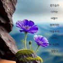 ♤체온 유지에 신경 쓰십시요.♧ 이미지