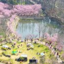 봄날 - 전주시 완산구 서학3길 44 | 봄날