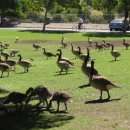 참어울림 이미지