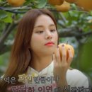 수피아주얼리 이미지
