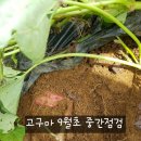 중간말농장 이미지