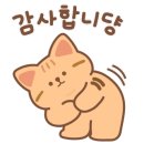 재재뷰티 에스테틱