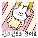 스파마린 (주) 이미지