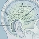 이편한보청기 일산센터 이미지