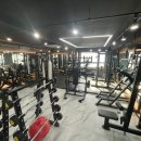 PHYSICAL GYM 이미지