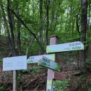 옥천, 영동 여행(둘째 날: 영동/민주지산자연휴양림, 월류봉 둘레길, 반야사)