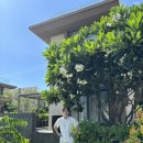 오빠야농장 | [250710 나트랑 Day3] 판랑사막 택시투어, 포롱자라이 사원, 그릭수블라키 배달, 나트랑 하바나호텔...