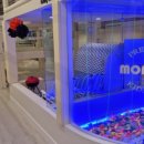 모넬로키즈카페 이미지