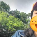 강화경기장 | 집밥, 비건빵집 통밀나루(상암 월드컵경기장)출근 일상, 평화로운 일상, 비건 우거지 시래기탕.
