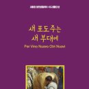천주교성바오로딸수도회 이미지