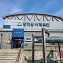 장기황어체육관 이미지