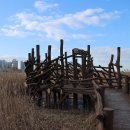 배곧생명공원 이미지