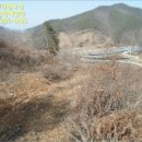 영동목장 이미지