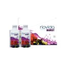 케어앤라이프 이미지