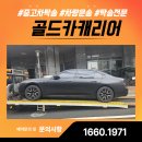 이수자동차써비스 | 의정부 구리 남양주 자동차탁송, 신속하고 안전한 차량 이동 서비스 - 골드카캐리어