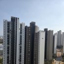 해마루공원로1R-7 | 구미 산동 호반베르디움 엘리트시티 도배 하나로 새집 된 사연 실크도배후기 구미도배