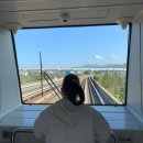 용인 에버랜드 | 장애인 탑승예약제 후기