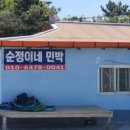 순정민박 이미지