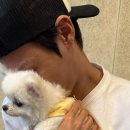 강아지 꼬순내 이미지