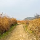 비내섬스케치 이미지