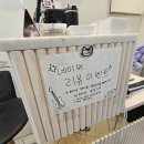 투링안경 | 의정부피어싱 후기💎 14K피어싱·써지컬피어싱 다양하고 가격 착한 블루피어싱