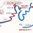(주)강남고속관광 이미지
