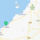 벤조롱 달빛정원 이미지