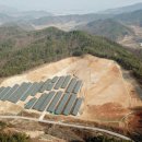 숲 태양광발전소 이미지